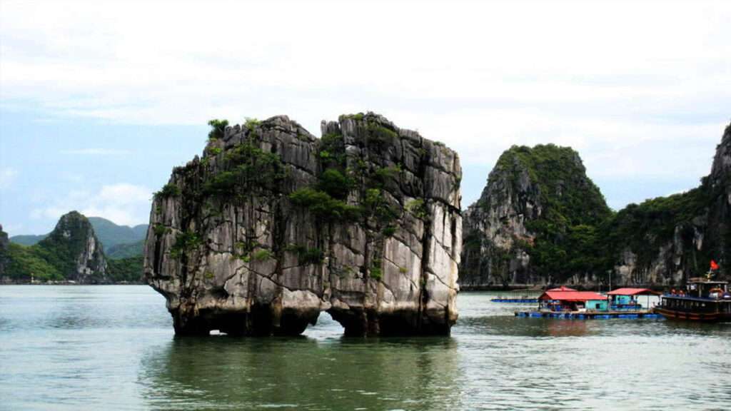 tàu ghép thăm vịnh Hạ Long 4h