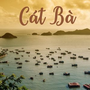 tour du lịch cát bà