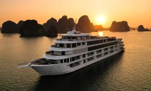 Ambassador Cruise trong ngày