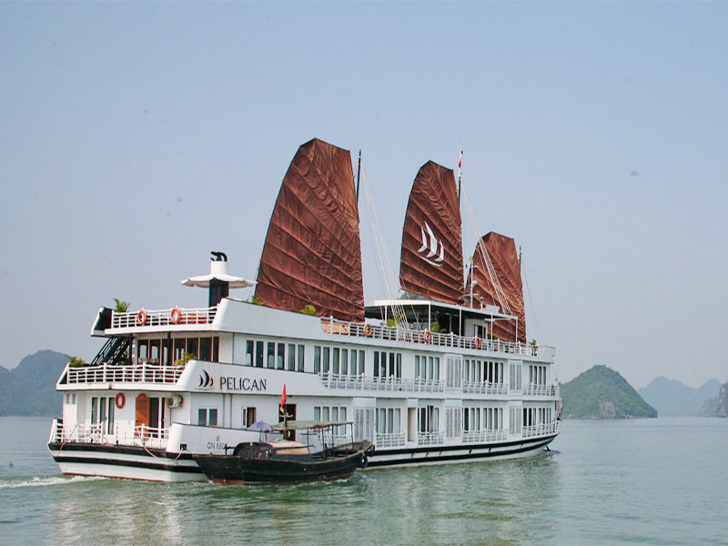 Du thuyền Pelican Hạ Long