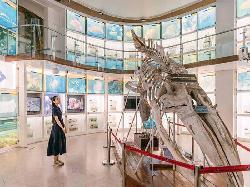 Không gian tầng 1 - Bảo tàng Quảng Ninh