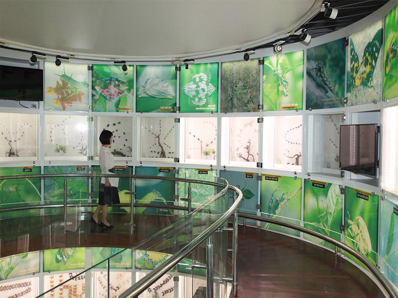 Không gian tầng 2 của bảo tàng Quảng Ninh