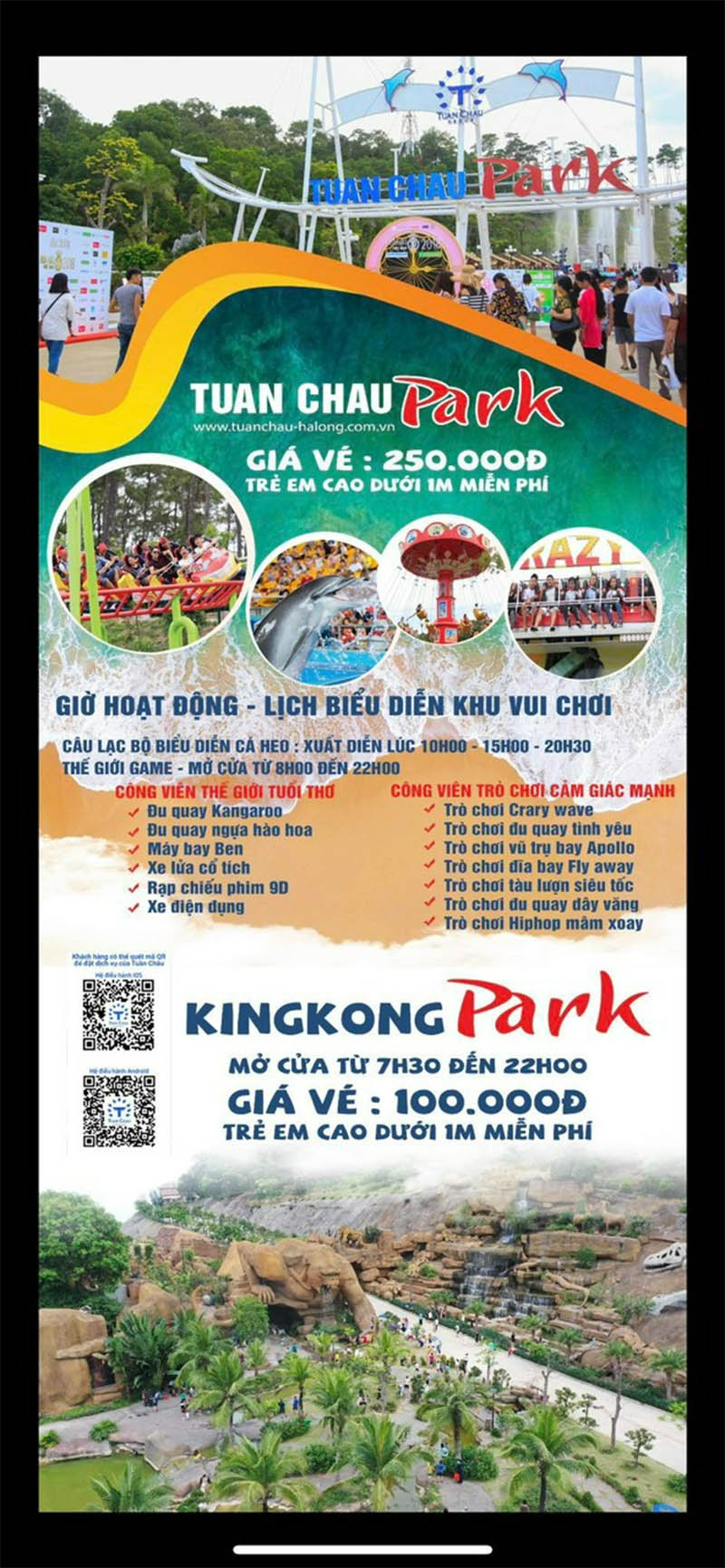 Giá vé cung cá heo Hạ Long